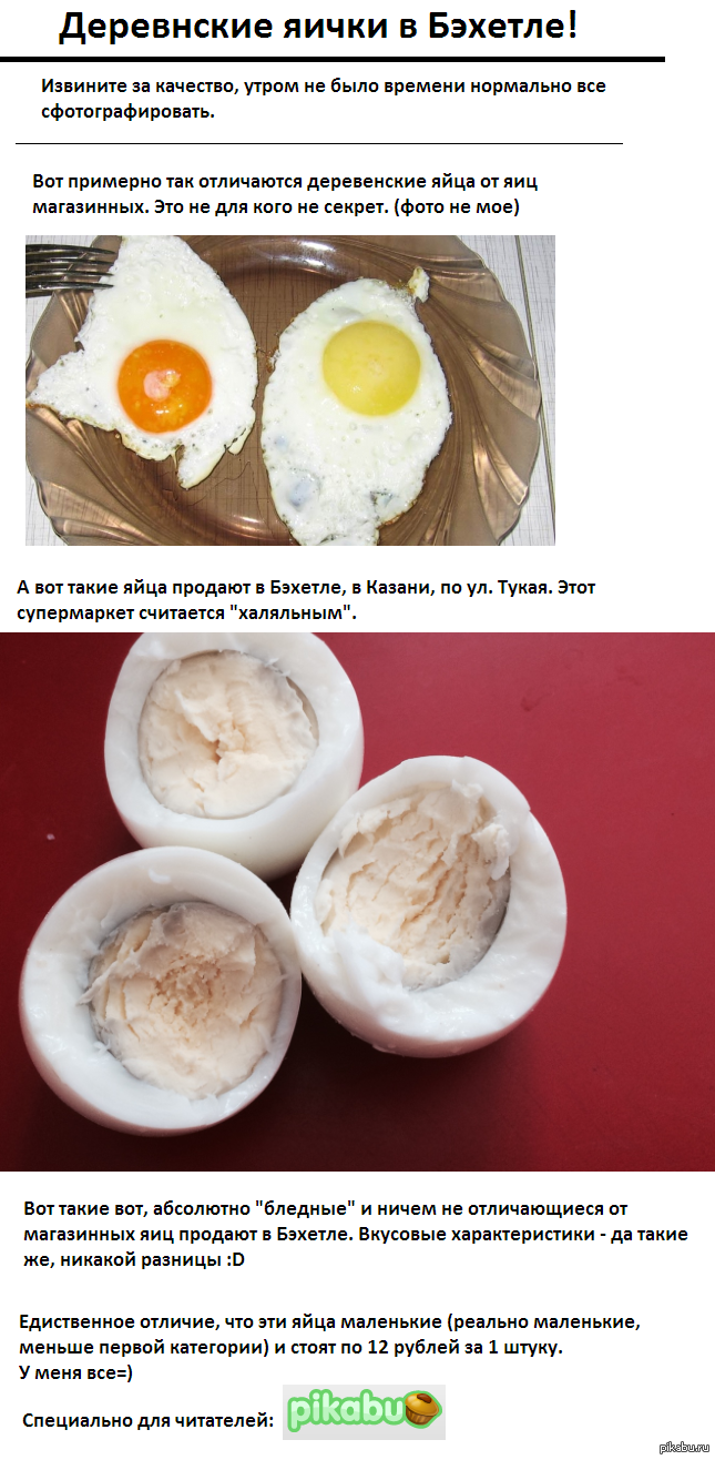 Отличить домашний. Магазинные домашние яйца. Отличие покупных и домашних яиц. Домашние и покупные яйца разница. Как отличить домашние яйца от магазинных.