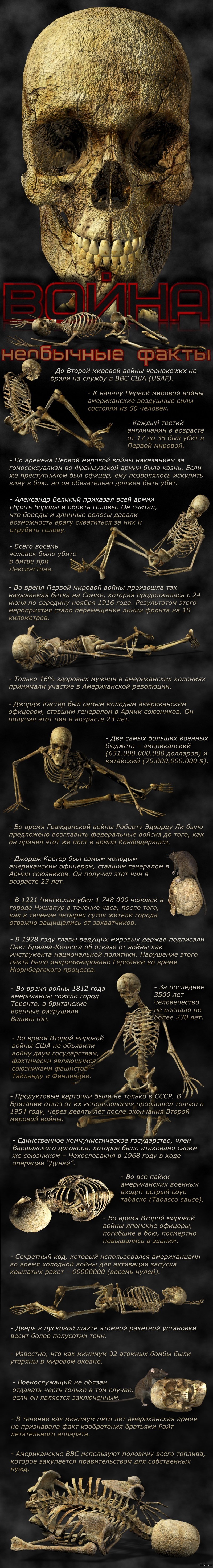 Война. Необычные факты. | Пикабу