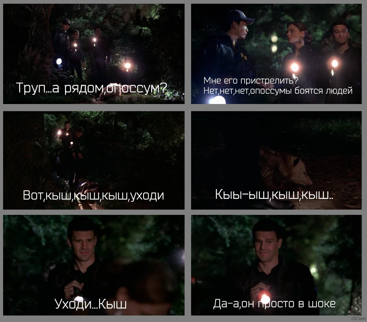 Кости | Пикабу