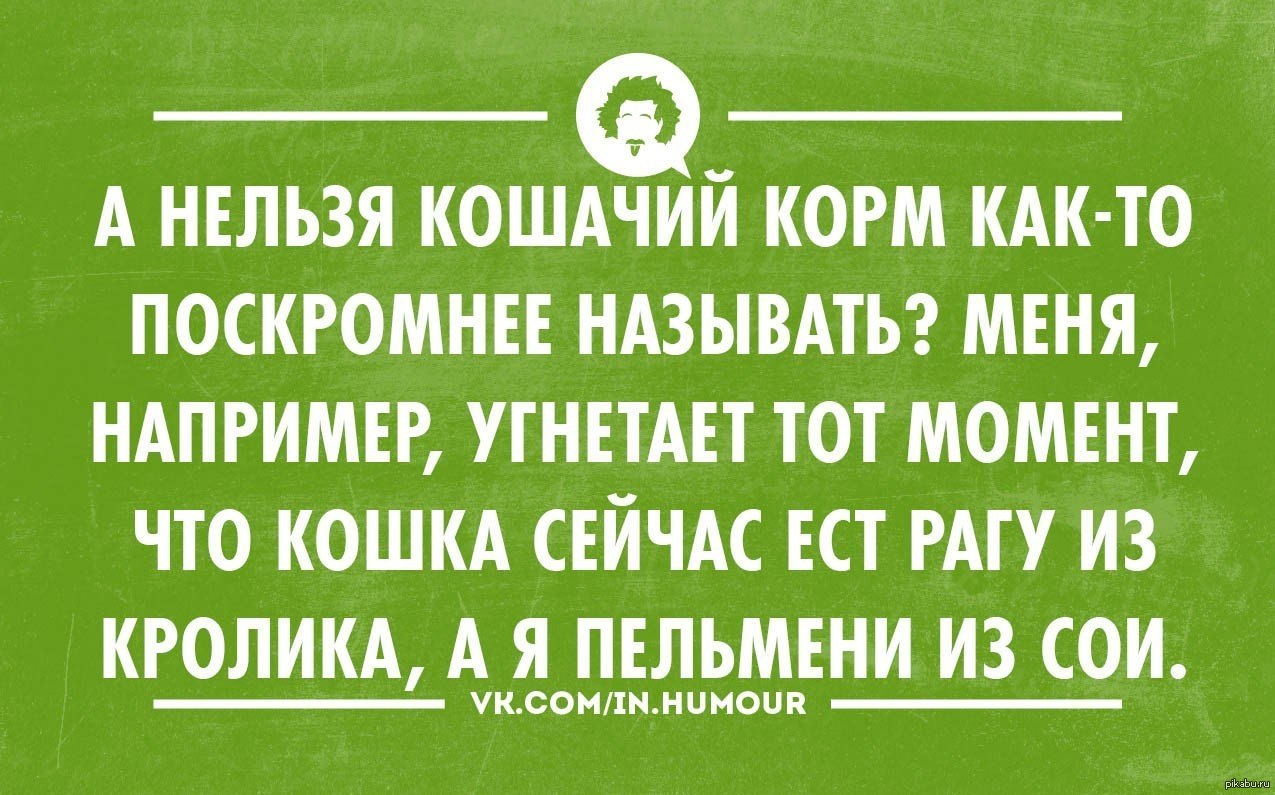Кошачий корм | Пикабу