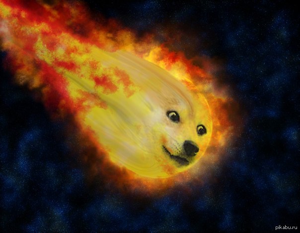 Armageddoge - Doge, Wow, World of warcraft