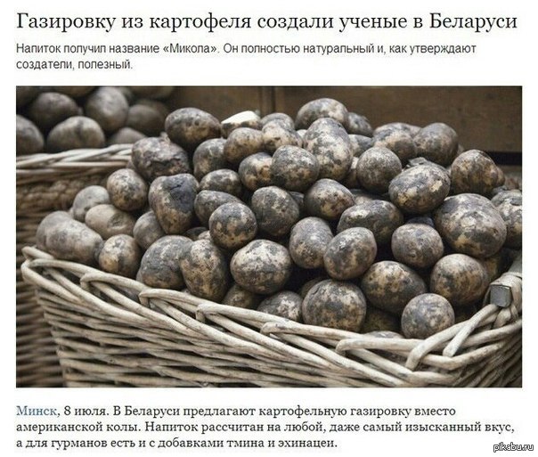 Типичная Беларусь | Пикабу
