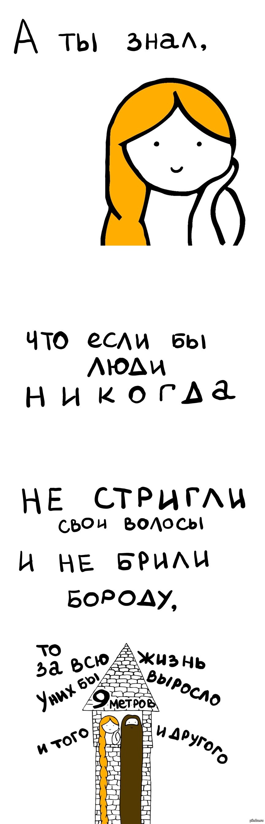 Рост волос за всю жизнь | Пикабу