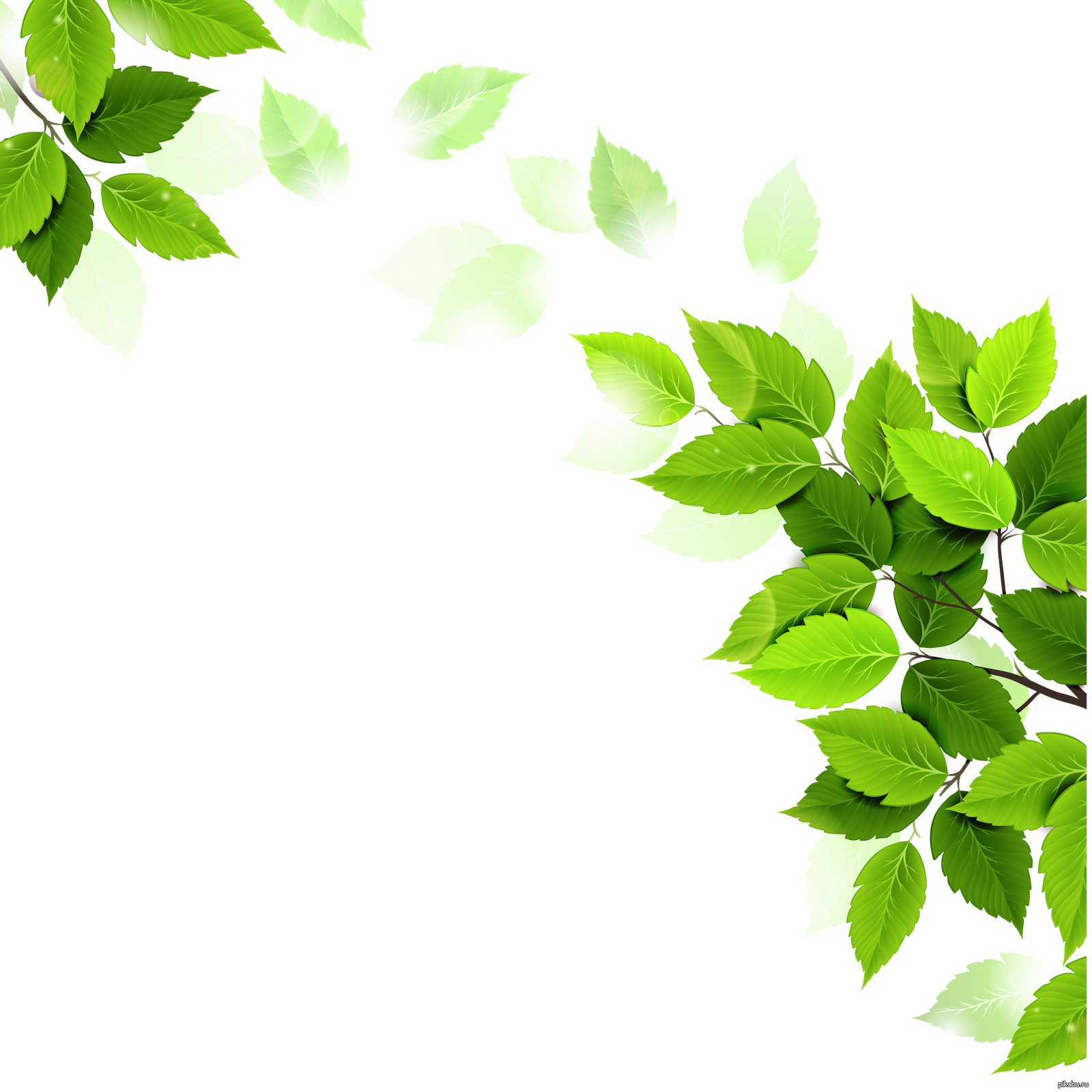 Фон с ветками