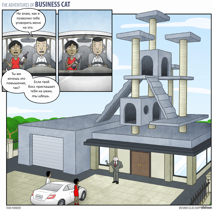 Как пройти бизнес котиков. Бизнес кот. Приключения бизнес кота. Комикс приключения бизнес кота. Кот бизнесмен комиксы.