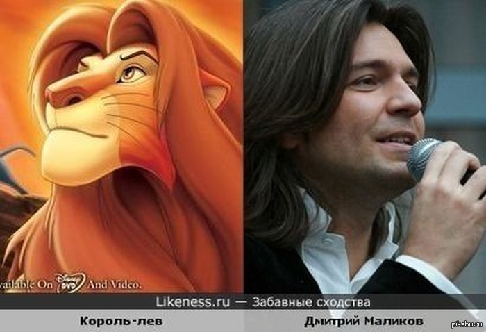 Likeness. Дмитрий Маликов и Симба. Дмитрий Маликов похож на Симбу. Забавные сходства. Забавные сходства знаменитостей.