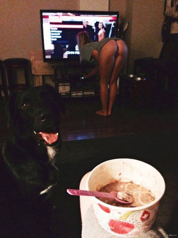 If you see a dog smiling at you - NSFW, In contact with, Ice cream, Booty, Dog, Strawberry