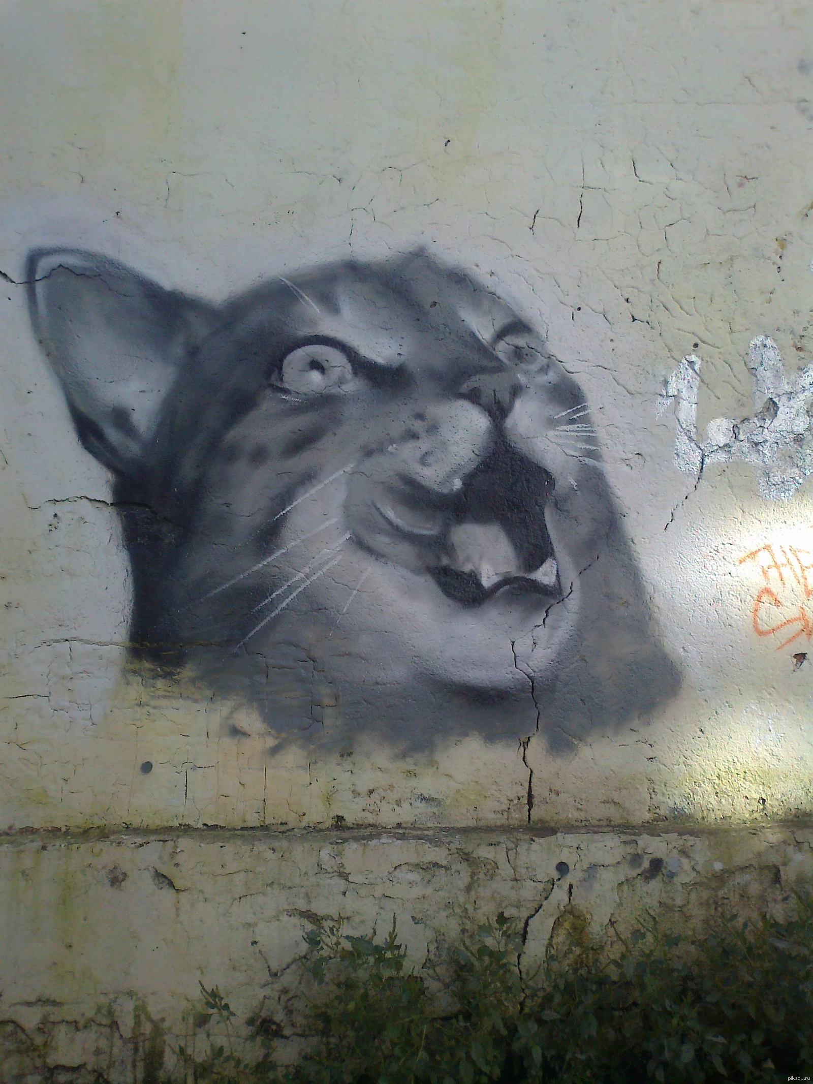 Котенок граффити