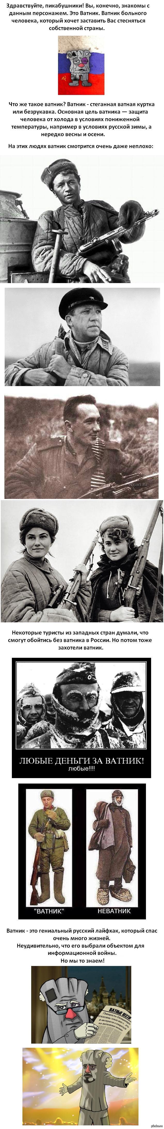 Про ватник | Пикабу