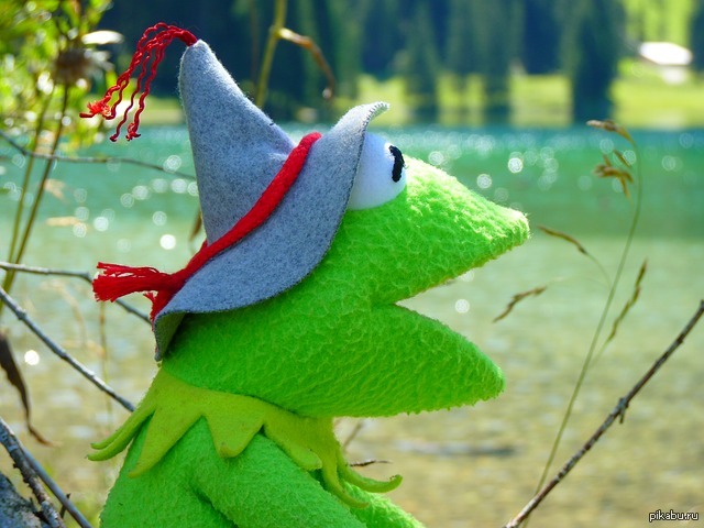 Лягушонок кермит. Кермит. Лягушка Kermit. Амигуруми Лягушонок Кермит. Кермит на траве.