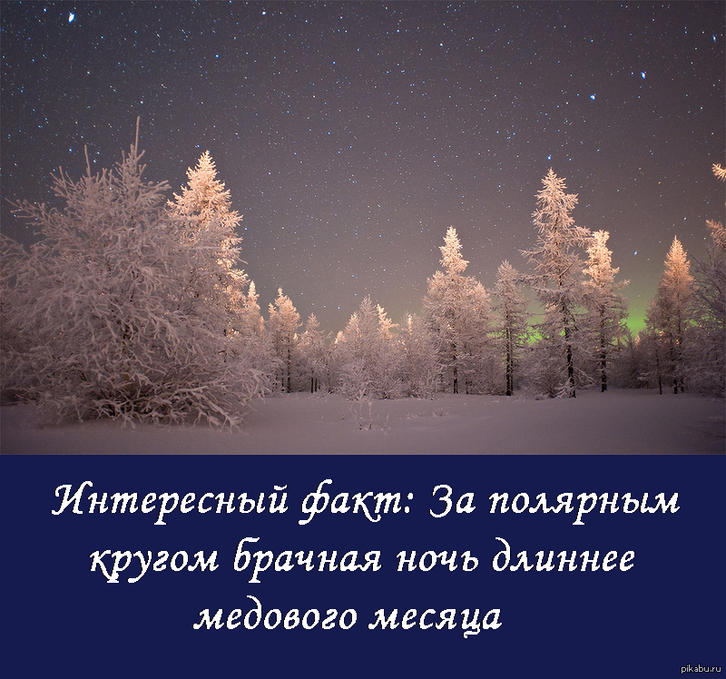 Декабрь кончится вот вот и осталось. Шутки про полярную ночь. Северная природа цитаты. Шутик про полярную ночь. Зимней ночи с афоризмами.