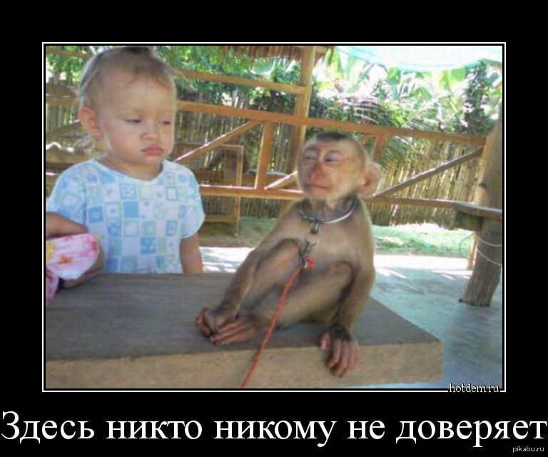 Мем подозревака
