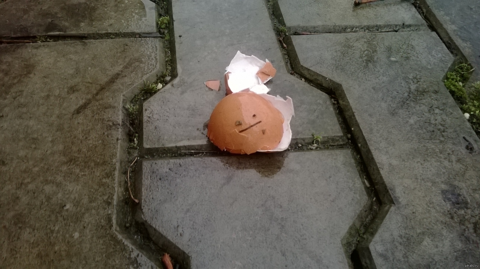 Сломанная жизнь 5. Нашел яйца на улице.
