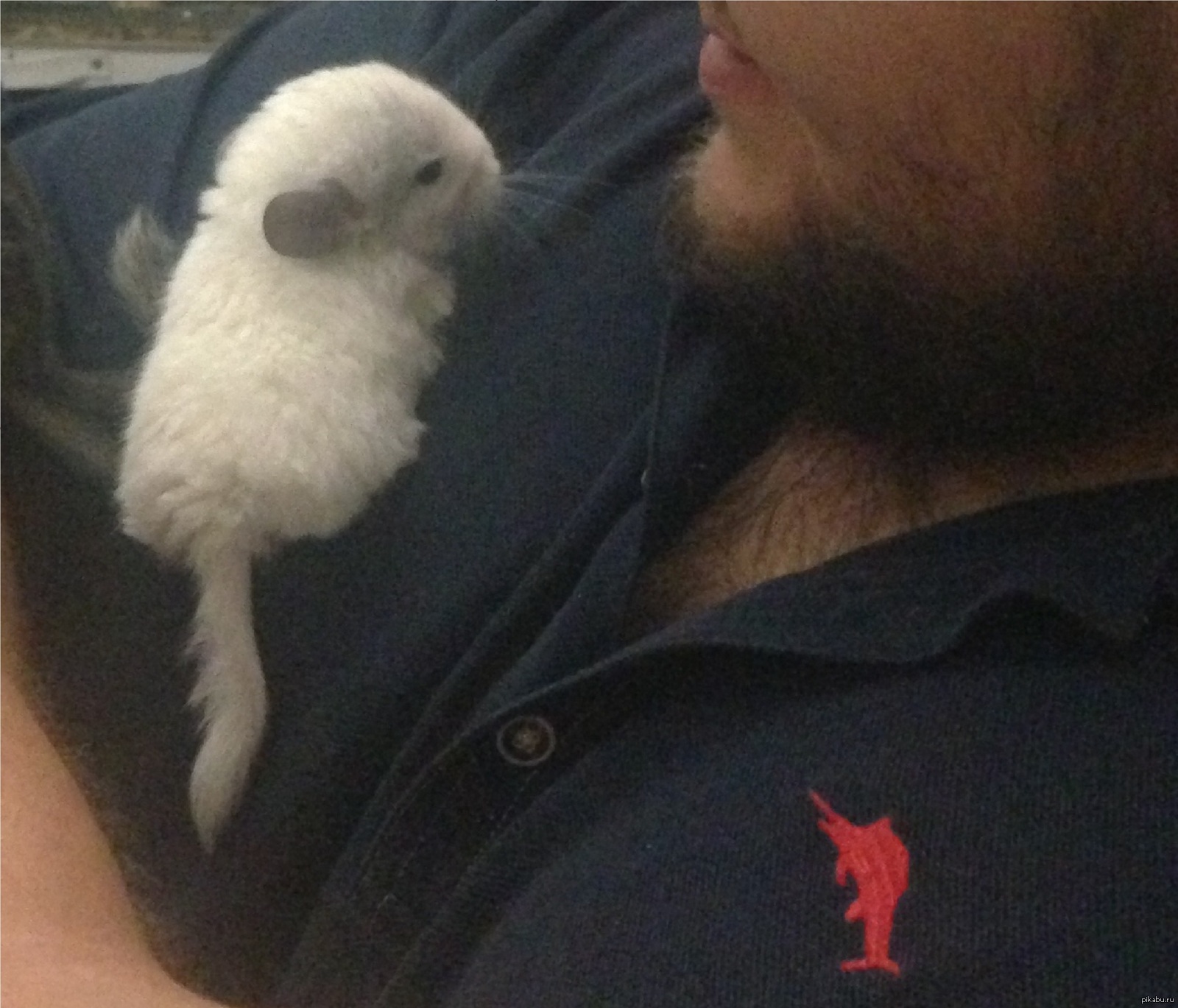 Каждому свое! | Пикабу