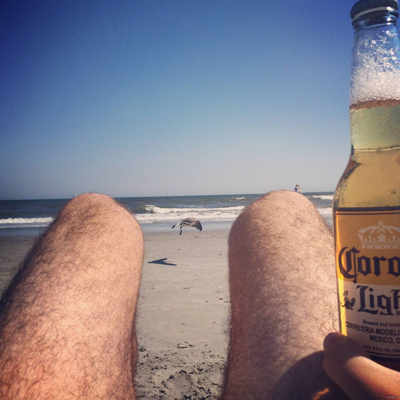На пляже с пивом