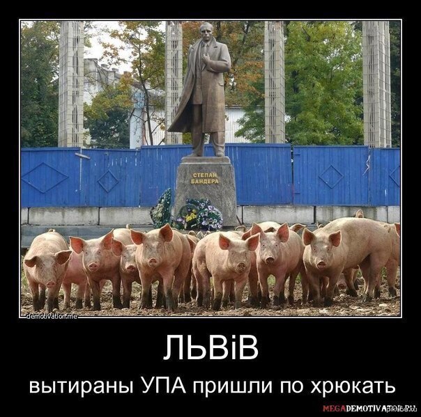 Бандера картинки прикольные, ленку прикольные картинки