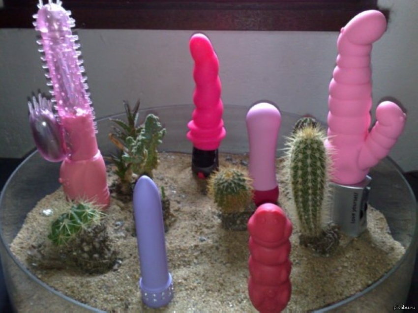 Don't be confused! - NSFW, Dildo, Cactus, Kutuzov