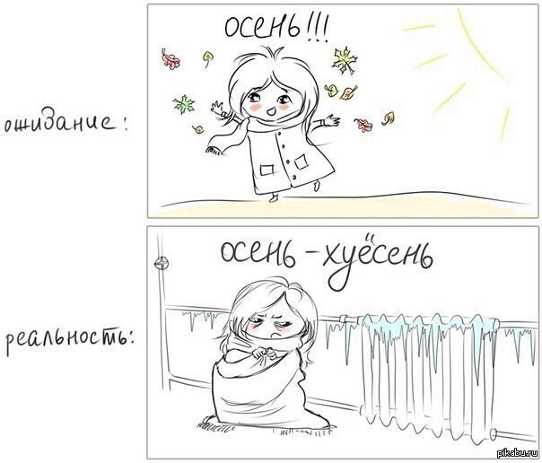 Осень смешные картинки