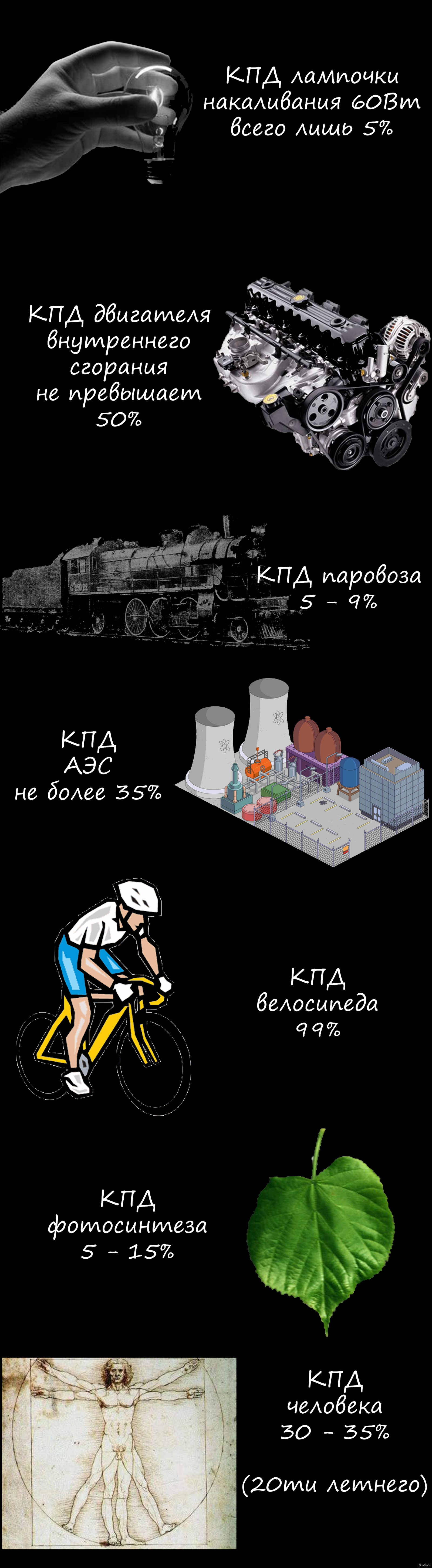 Немного о полезности | Пикабу