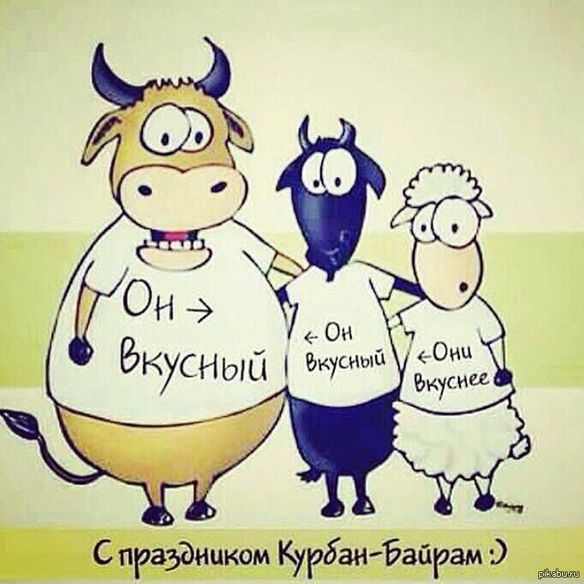 С праздником курбан-байрам картинки прикол, достало смешные картинки