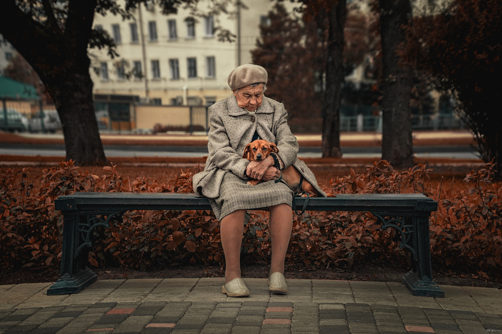 Знакомство Встреча Пожилых Одиноких Людей