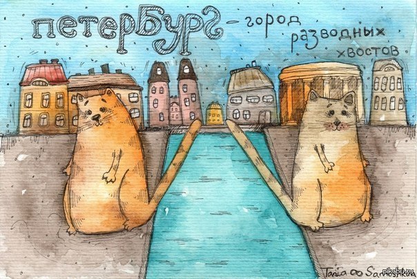 Из петербурга с любовью