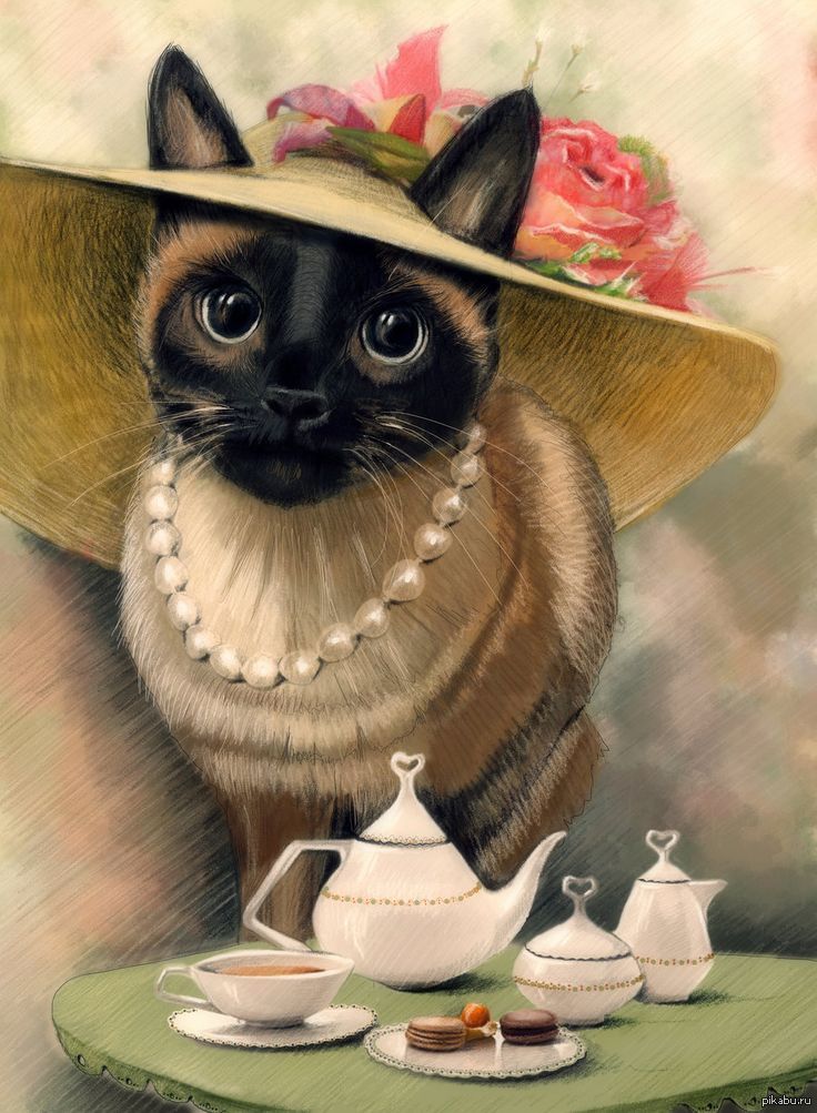 Моя открытка, открытки с нарисованными кошками