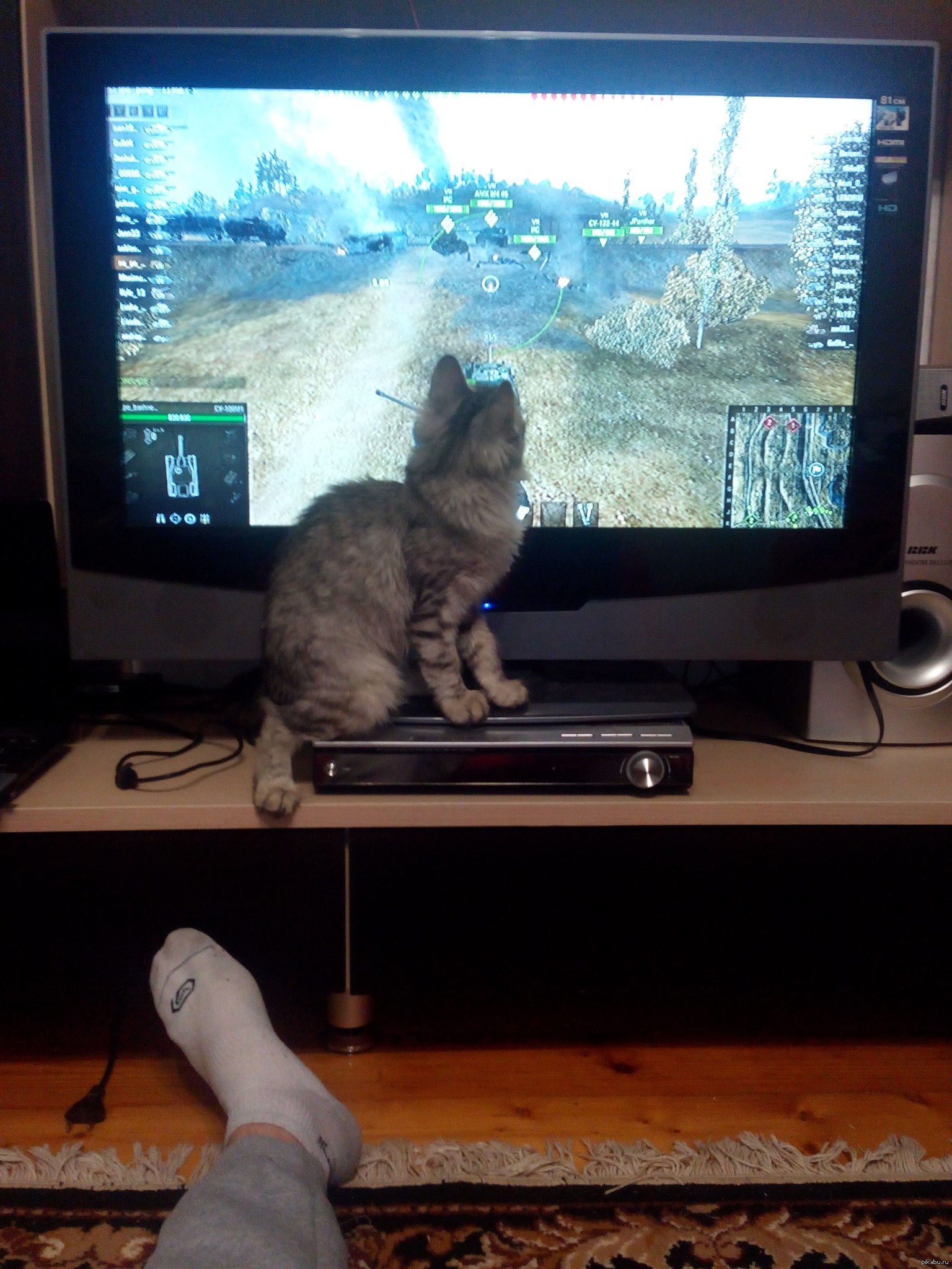 Мейн кун,WOT | Пикабу