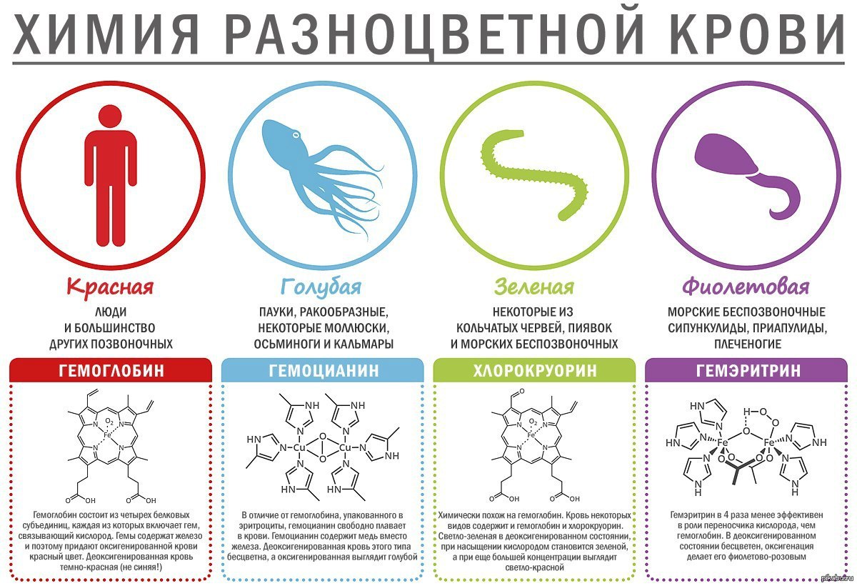 цвет крови из вены