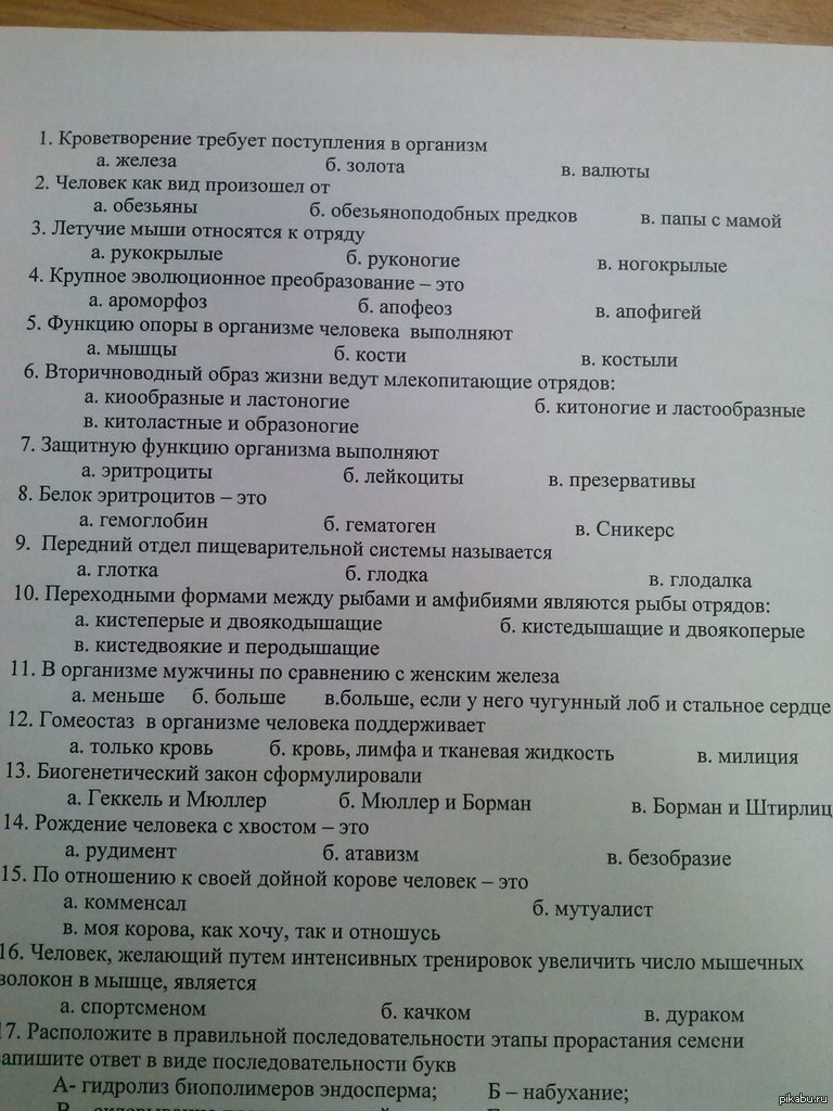 Тест по биологии поступление вуз. Смешные ответы на тесты. Прикольные ответы на тест. Тест для поступления в биологический класс. Тест для поступления в биологический класс 4 класс.