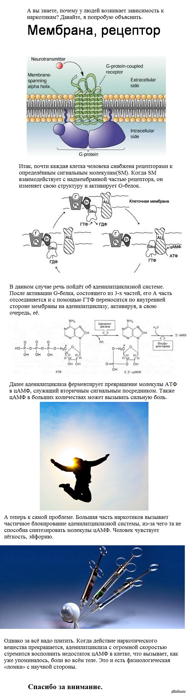 "Ломка" у наркоманов. | Пикабу