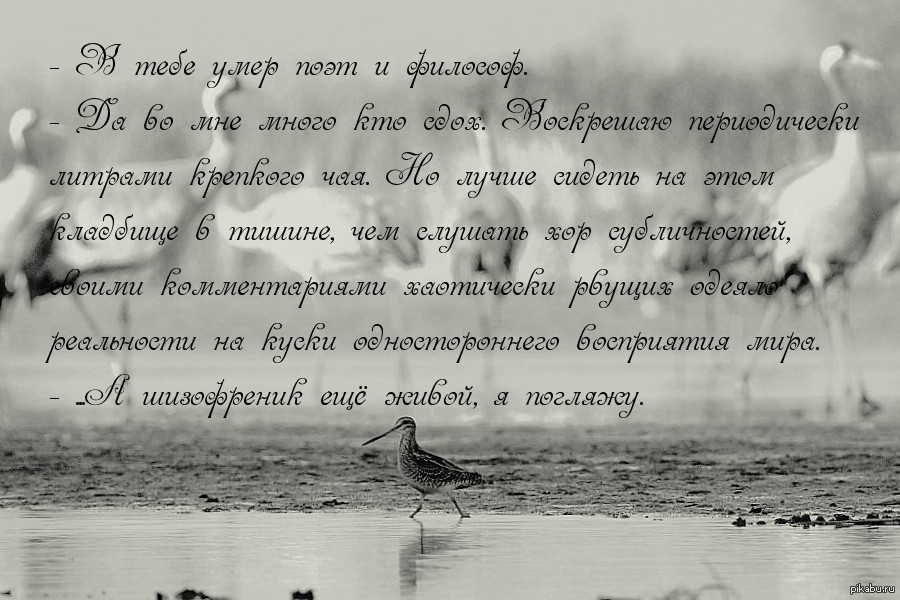 Легкая шизофрения | Пикабу