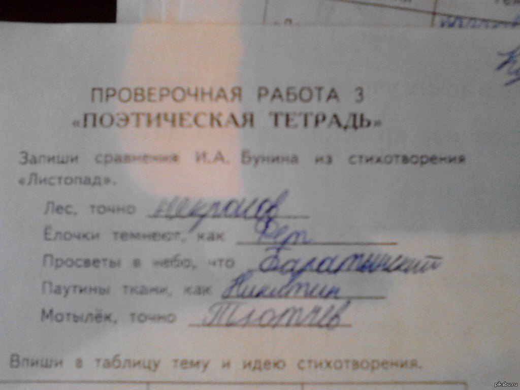 Юные гении | Пикабу