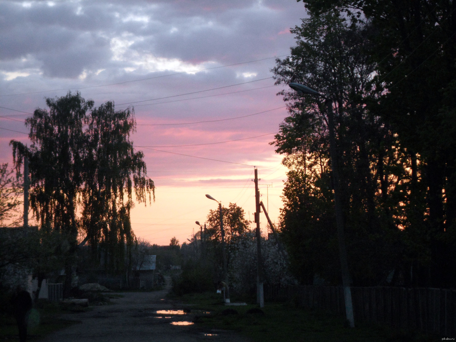 весна из окна моего дома (97) фото