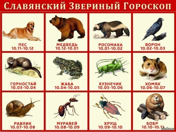 Славянский календарь на 2025 год жалящий шершень