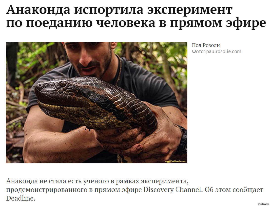 фото анаконды которая кушает людей онлайн фото анаконды которая кушает людей
