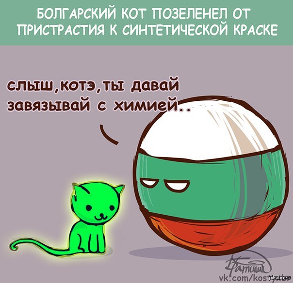 Болгарский Кот | Пикабу
