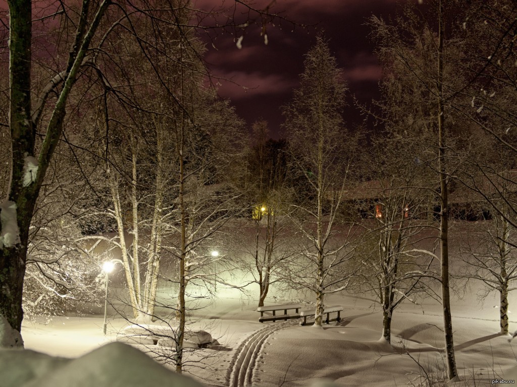 Вечером снежок. Зима ночь. Зима. К вечеру. Зимний вечер. Зимний ночной пейзаж.