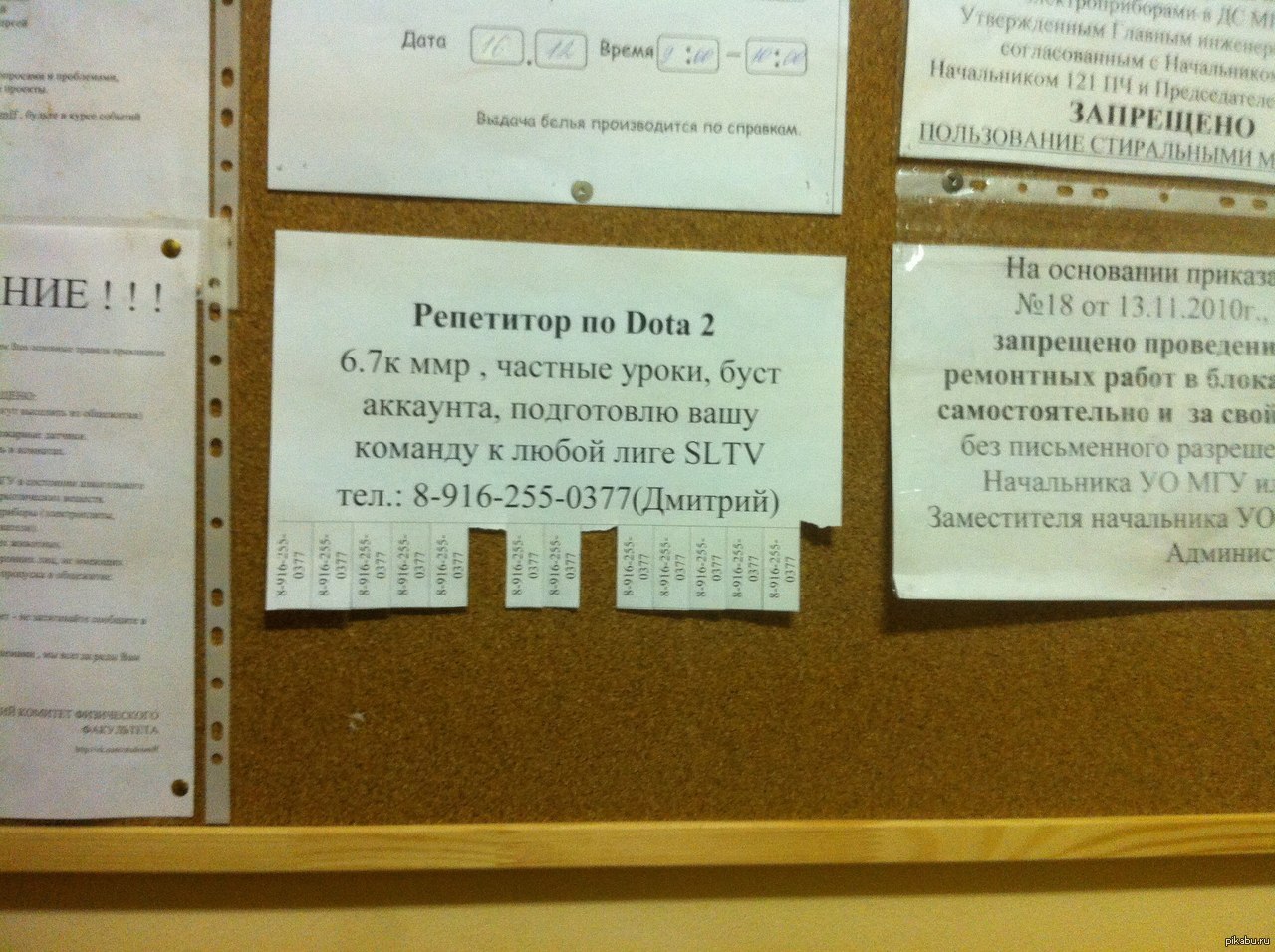 Репетитор | Пикабу