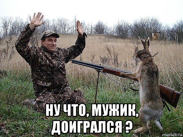 The hunt failed... - Hare, Hunting, Bad luck