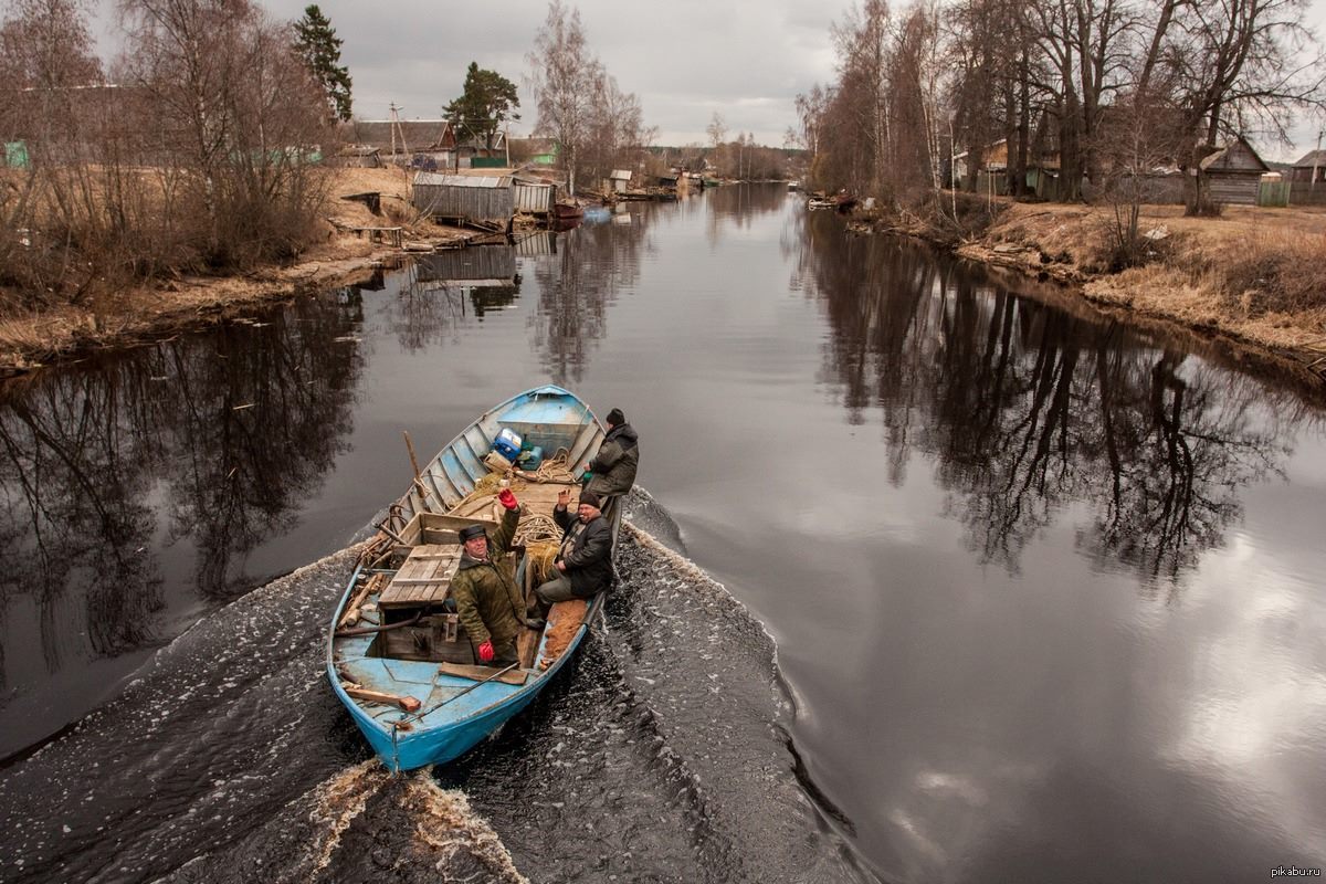 Сясьстрой Стелла