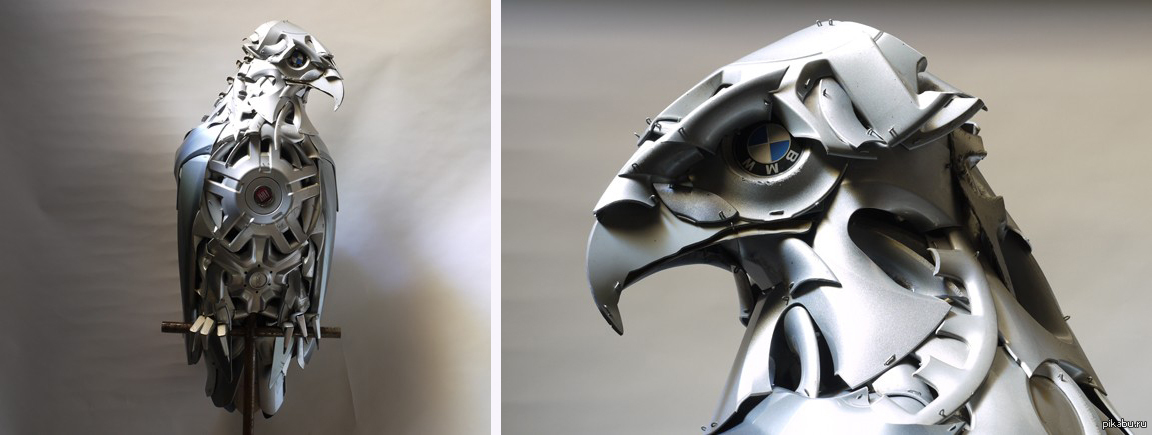 Сокол | Пикабу