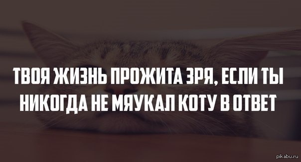 Жизнь прожита не зря. Анекдот живешь правильно но зря. Живешь ты правильно но зря анекдот. Прожил жизнь впустую.