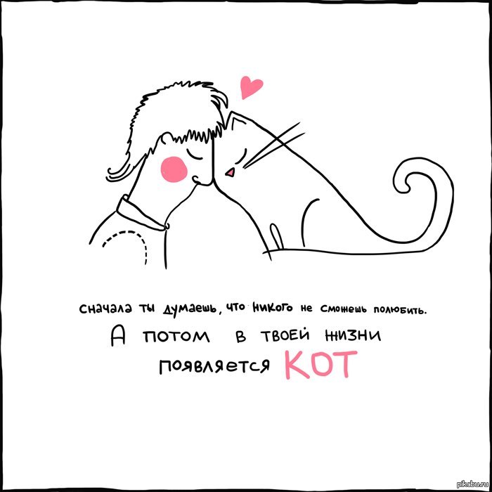 Сначала плавно. Любовь к котикам цитаты. Прикольные фразы про котов. Цитаты про котов смешные. О чем думает кот.