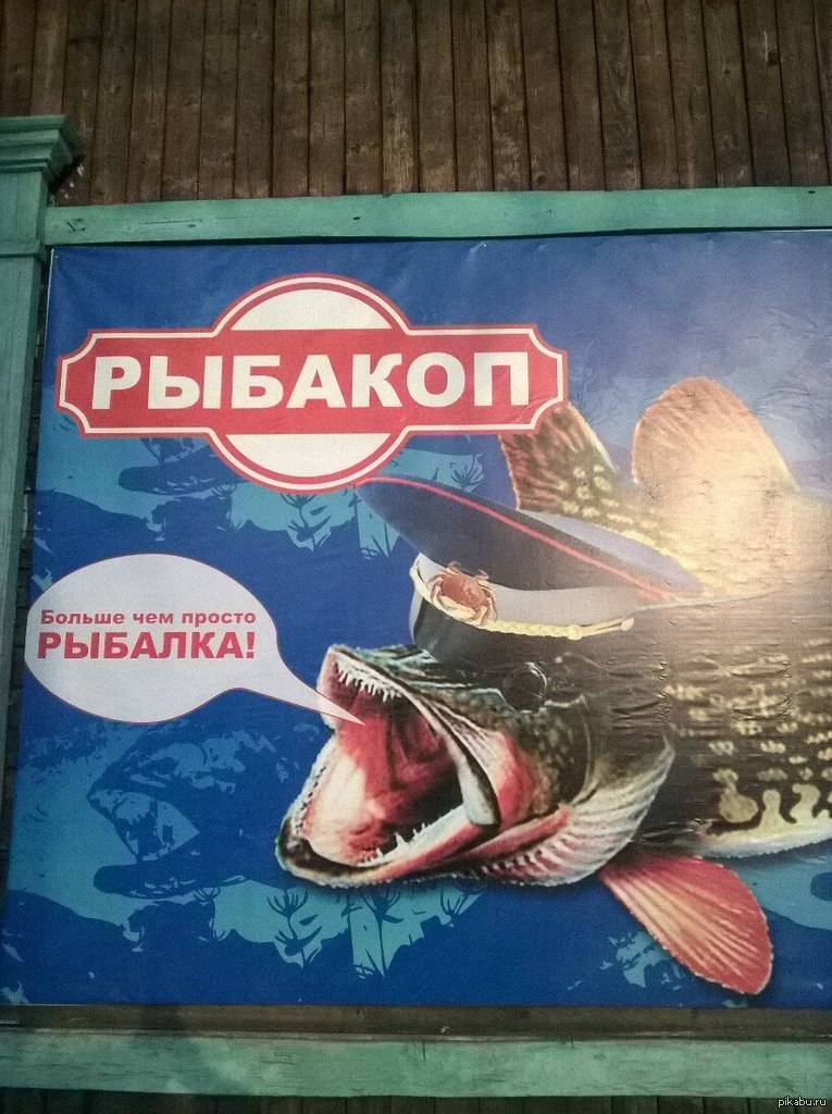озеро монатка. ловите просто. ловите просто. стрим по рыбалке заставка. простая рыбалка.