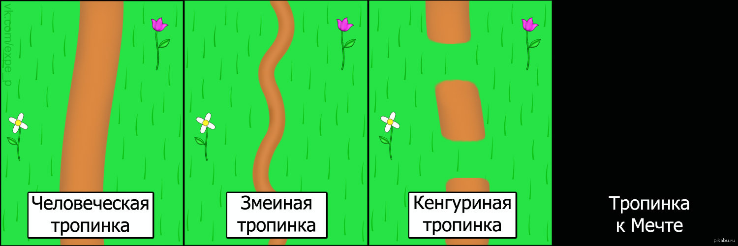 Тропинки | Пикабу