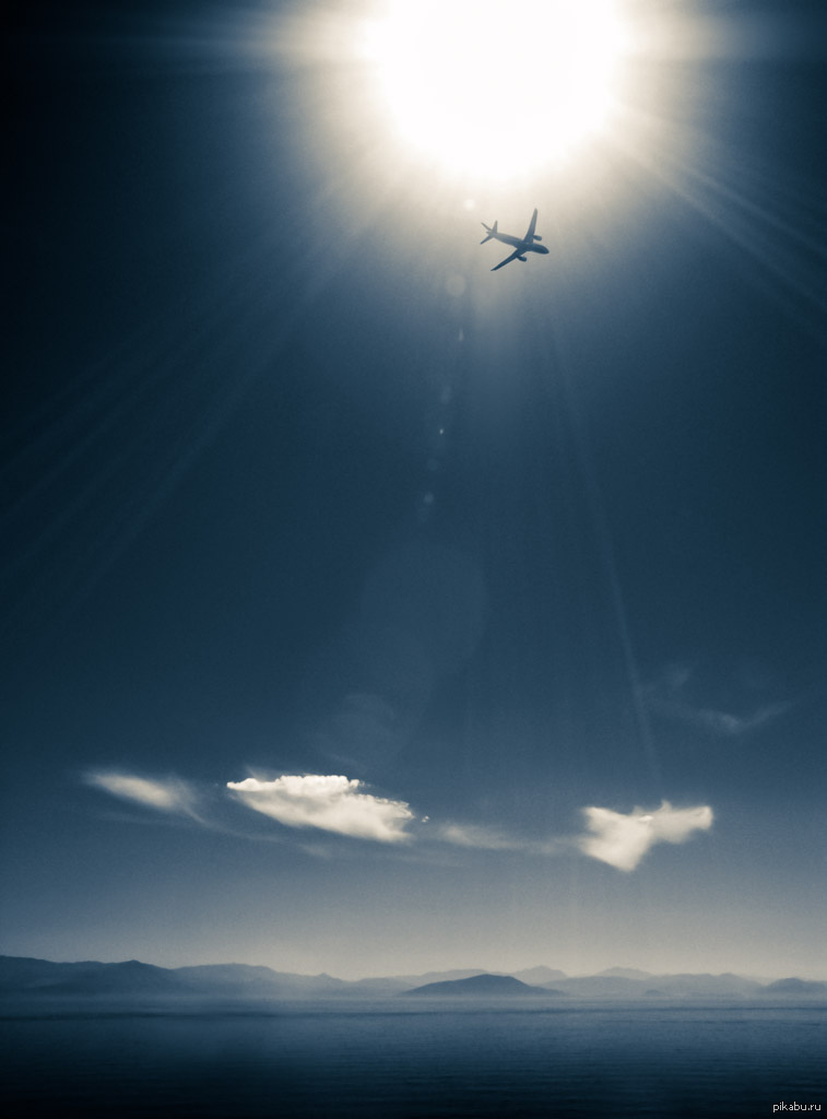 Flight. | Пикабу