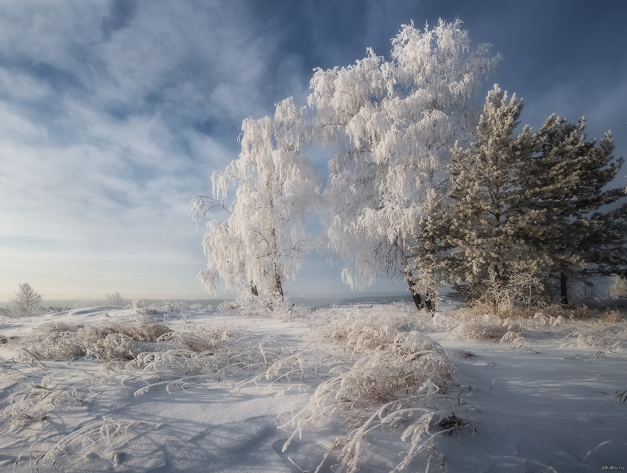 Автор winter. Сибирь зимой. Зима в Сибири. Пейзажи Сибири зимой. Сибирские зимние пейзажи.