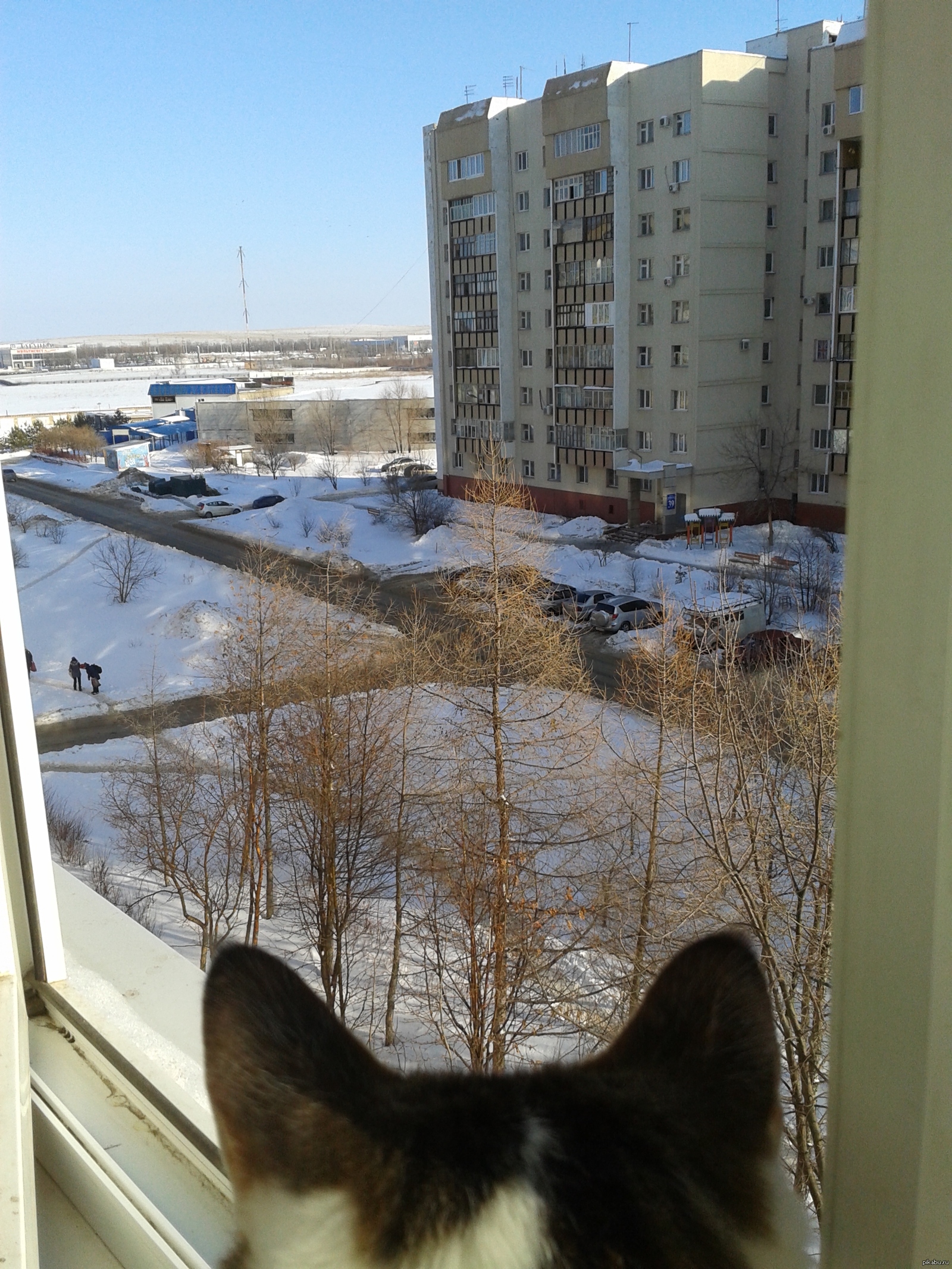 Россия из окна