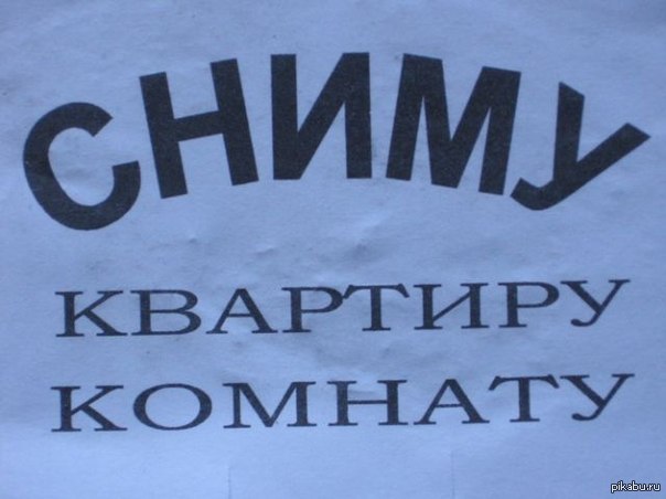 Сниму Квартиру Фото Объявления